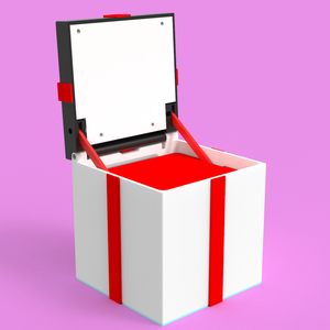 Electronic Auto-Opening Gift Box (Previous Monthly Drop)